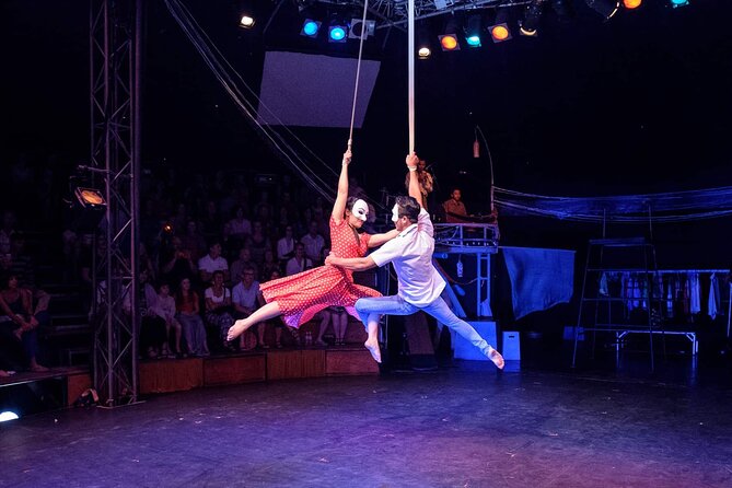 Admiration du cirque