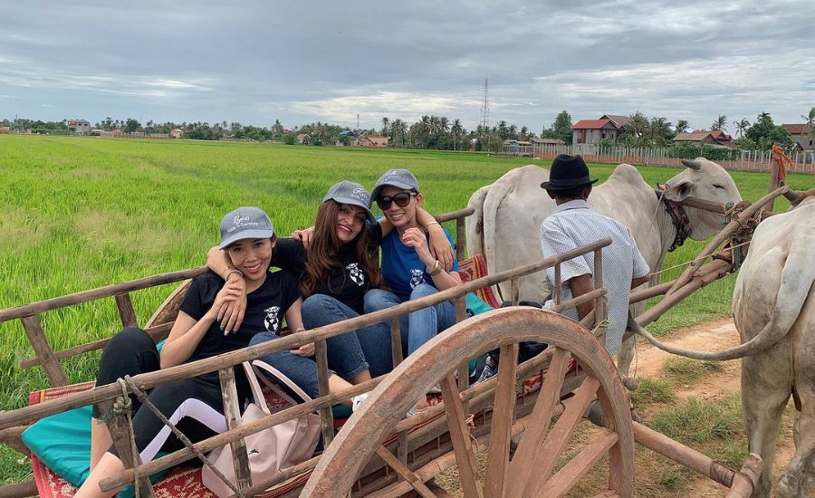 Three smiling female tourists riding in a traditional wooden ox cart driven by a local through green rice fields in Siem Reap.