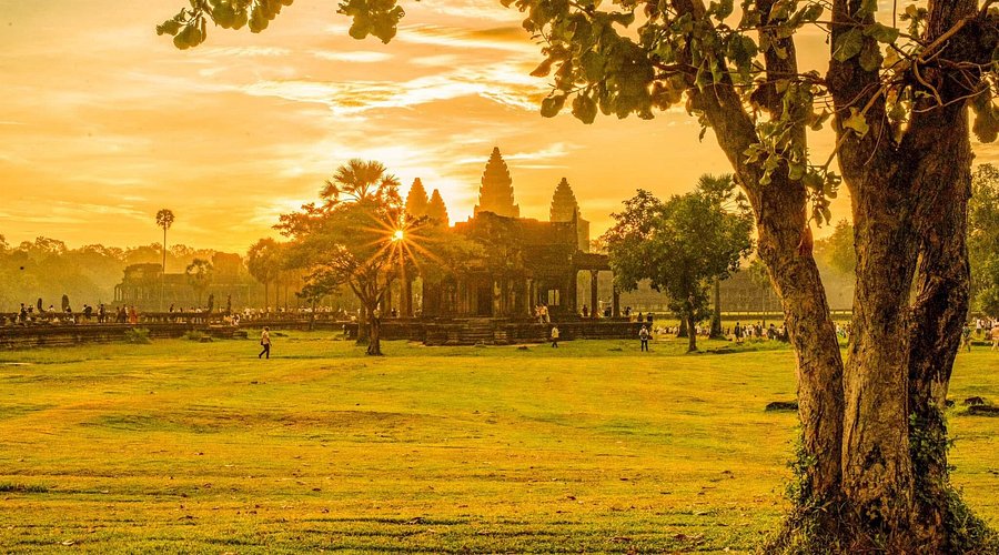 A vibrant golden sunset over the stone towers of Angkor Wat temple surrounded by grassy lawns in Siem Reap.
