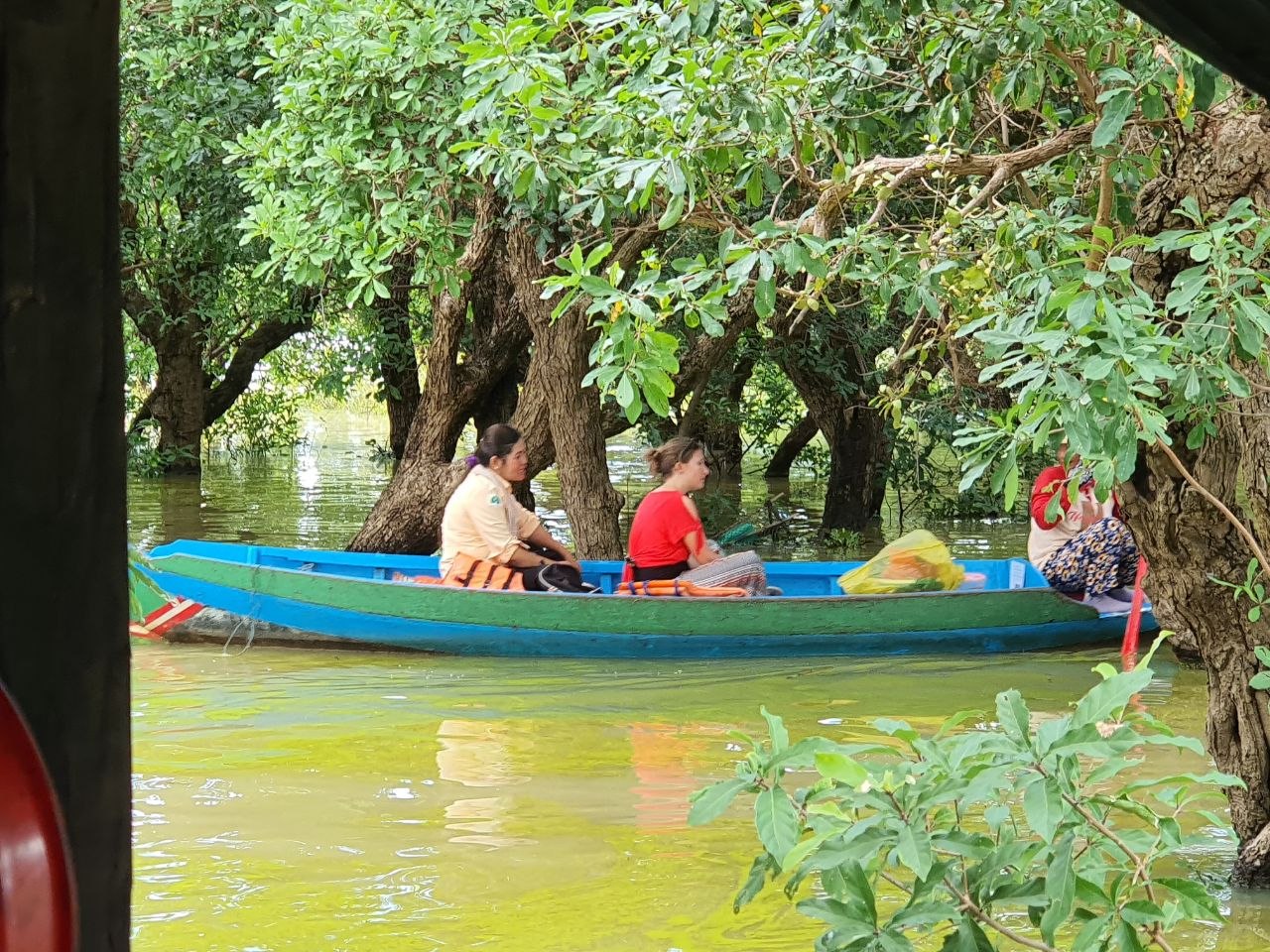 Tourists riding a blue wooden paddle boat through the flooded mangrove forest of Kampong Phluk near Siem Reap