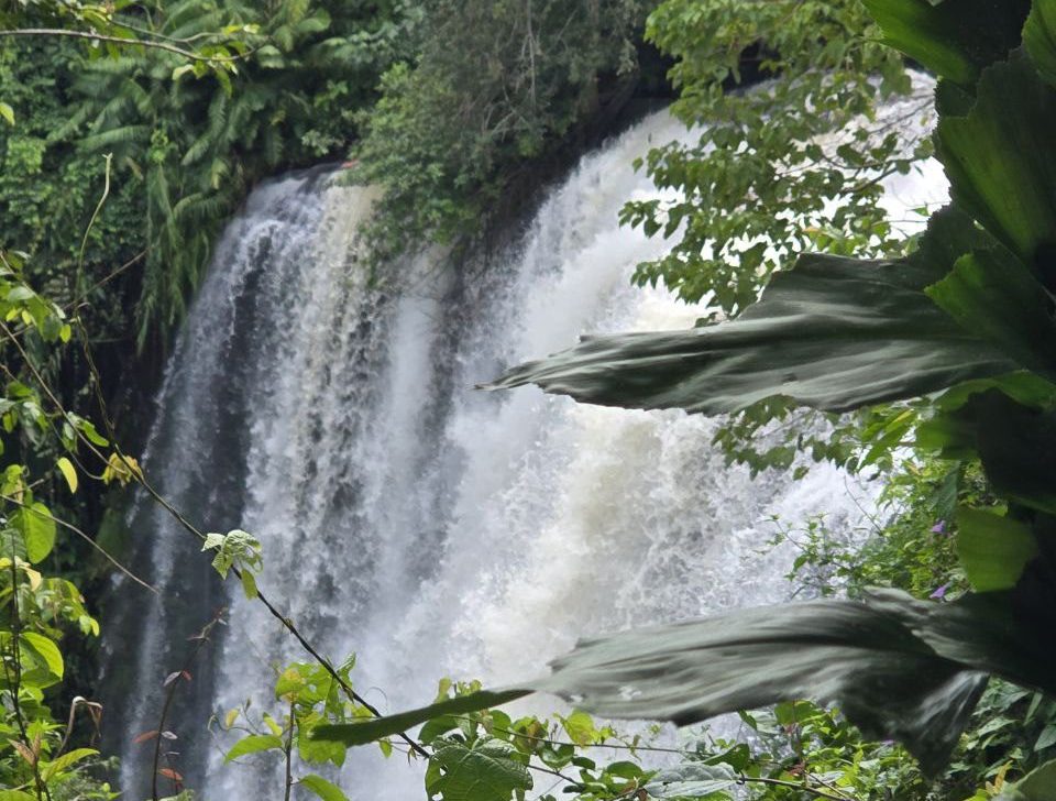 Powerful tropical waterfall cascading down a rocky cliff face surrounded by dense jungle foliage at Phnom Kulen
